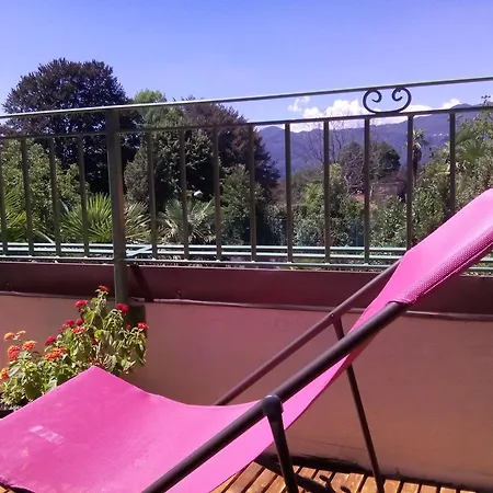 La Camelia