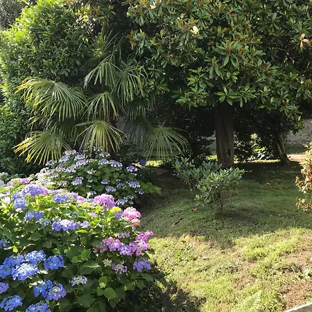 Appartamento La Camelia *
