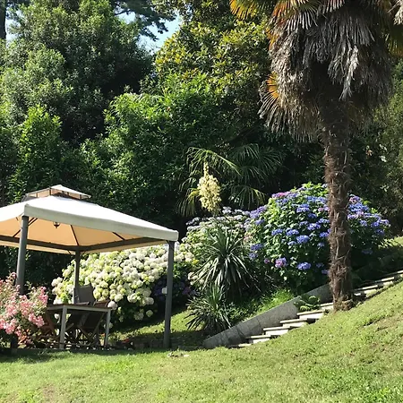 La Camelia Appartamento Ameno