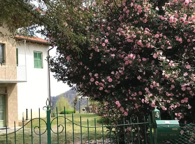 La Camelia *