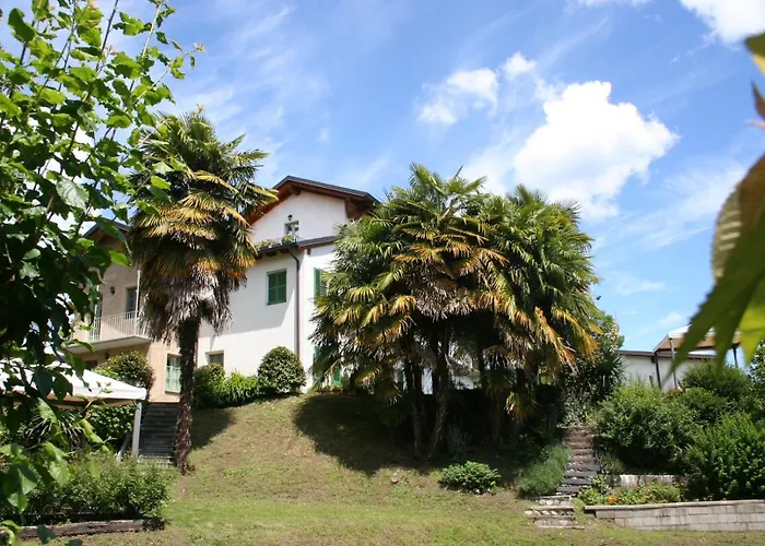 La Camelia Apartamento Ameno