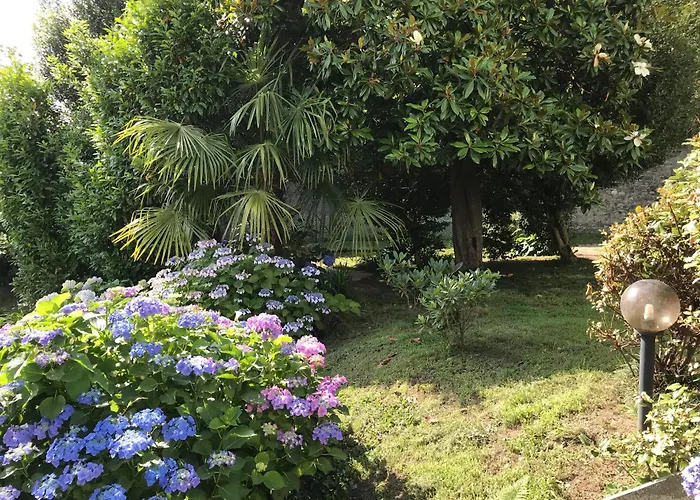 Apartamento La Camelia *