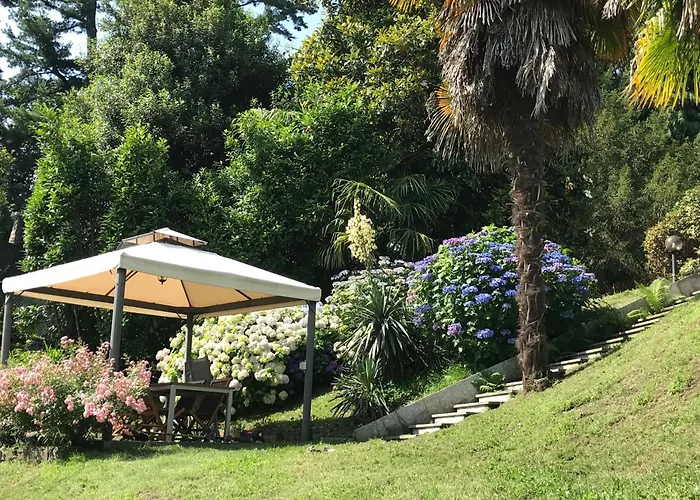 La Camelia Apartamento Ameno